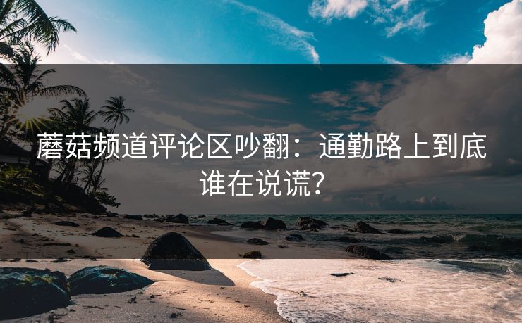 蘑菇频道评论区吵翻:通勤路上到底谁在说谎?
