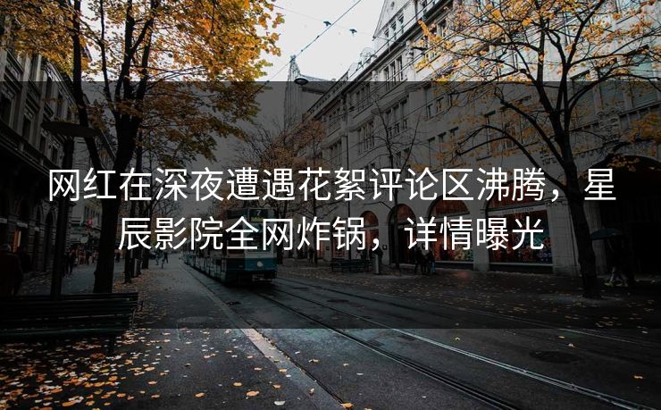 网红在深夜遭遇花絮评论区沸腾，星辰影院全网炸锅，详情曝光