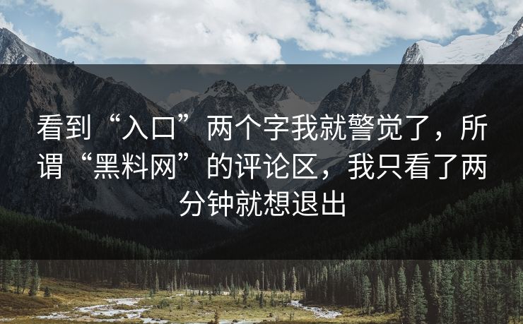 看到“入口”两个字我就警觉了，所谓“黑料网”的评论区，我只看了两分钟就想退出